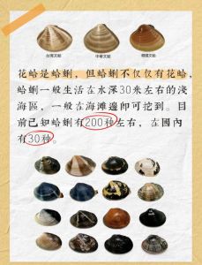 蛤蜊打开是不是熟了_海边三开三闭判断海鲜熟没熟