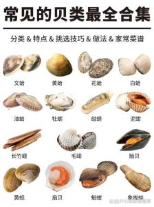 蛤蜊壳属于蛤蜊的什么_清热化痰，缓解胃不适