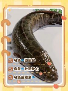 乌鱼水开蒸几分钟_火候时间与去腥秘诀
