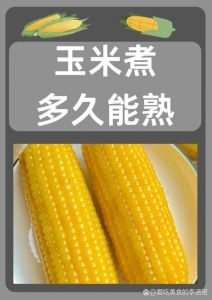 一个生玉米要多久煮成熟玉米_煮嫩玉米多久？文火15-25分钟，高压锅10-15分钟