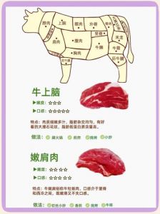 鲜肥牛部位图片_牛肉部位不同做法，炖炒烤选对才美味！