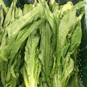 凤尾是不是莴笋叶子_四川凤尾即莴笋叶，清脆营养，凉拌清炒皆宜