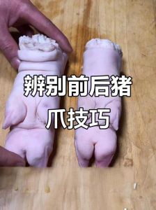 猪手猪蹄猪脚什么区别_区分蹄髈肘手大不同