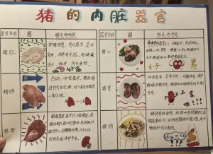 猪的内脏是不是高嘌呤_痛风患者慎吃猪内脏，高嘌呤胆固醇伤身