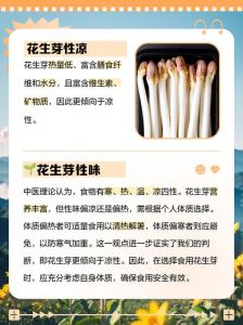 花生芽的热量高吗_花生芽低卡高营养，助你健身控重！