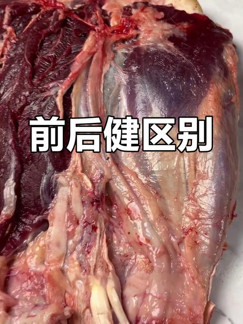 牛前腱和牛后腱的区别_前腱后腱怎么选？涮炒慢炖看这里！
