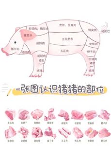猪上的肉哪个部位嫩_煎烤卤制各显神通