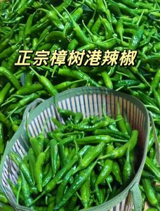 樟树港辣椒属于羊角椒吗_湘阴香辣代表，口感独特受欢迎