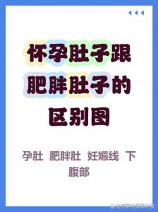 腹部和肚子的区别_准确描述助诊断