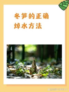 笋片一般要焯水多久才能熟_竹笋焯水时间怎么选？嫩笋2-3分钟，老笋15-30分钟