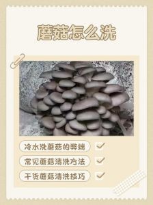 香菇嘌呤高焯水能去掉吗_焯水香菇减嘌呤 痛风慎食看说明
