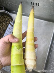 春季挖的春笋焯水几分钟_春笋焯水时间技巧，保脆不涩