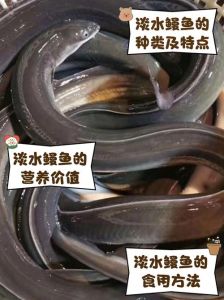 河鳗江鳗海鳗的区别_性情营养烹饪大不同