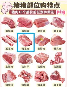 猪肉夹心肉是哪个部位_选购烹饪小指南