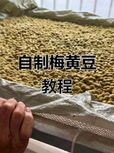 老式黄豆酱的家常做法_自制老黄豆酱，手工匠心，独特风味！