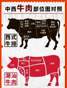 牛腩排是牛什么部位的_外酥里嫩，烤煎皆宜