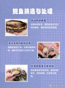 鲍鱼开锅蒸多久能熟_大小不同，火候有别