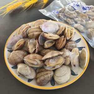 花蛤壳开了就熟了_葱油花蛤香，吃蛤配丝瓜