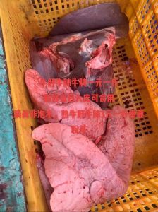 牛肝牛肺煮多久熟了_牛肝牛肺怎么煮？时间火候与去腥技巧