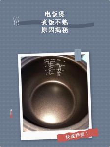 熟饭放电饭煲里面一夜会坏吗_电饭煲隔夜饭，夏季不保温易变质，秋季也需冷藏