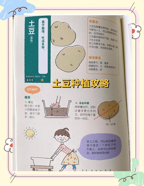 土豆挑选有什么技巧_圆的炖煮,长的快炒,发绿别吃! 土豆挑选有什么技巧_圆的炖煮,长的快炒,发绿别吃!