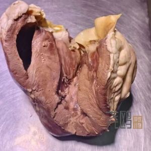 牛心一般煮多长时间熟透_牛心怎么煮才熟透不硬？时间与技巧