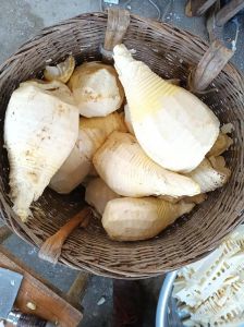 笋干焯水要几分钟_笋干泡发与烹饪方法