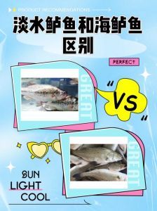 江鲈鱼和海鲈鱼的区别_口感营养大不同