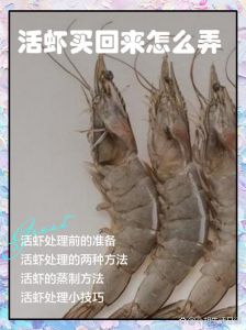 带皮大虾用水焯几分_虾处理技巧与剩菜妙用，智能烹饪未来