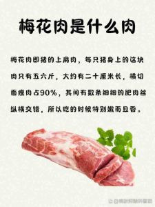 猪梅花肉是什么部位_肥瘦相间，口感鲜嫩，快炒煎烤皆宜！