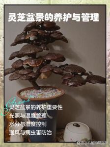 花卉灵芝长绿毛怎么处理_灵芝发霉怎么办？处理方法及保存技巧