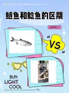 土鲢鱼和胡子鲢的区别_土鲢鱼嫩做汤，胡子鲢肉紧实
