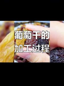 葡萄干怎样清洗干净_清洗葡萄干5妙招，轻松去污保新鲜！