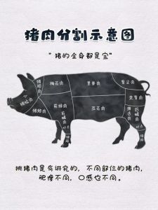 梅花肉在猪身上图解_鲜嫩丰腴，美味佳肴