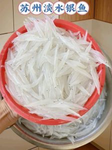 银鱼仔属于淡水鱼吗_淡水美食，生态重要