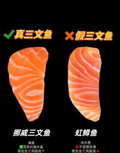 三文鱼鱼肉和鱼腩的区别_三文鱼腩和鱼肉怎么选？口感烹饪大不同