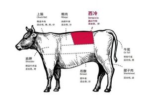 牛瓦沟是什么部位_牛瓦沟红烧肉，紧实鲜美，炖萝卜绝配！