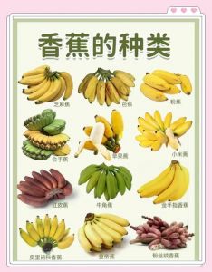 香蕉属于什么类型的果实——探究其在食材与美食文化中的地位与分类