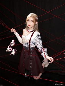 浅析snh48在亚洲欧美MV中的表现及其代表作的文化特色