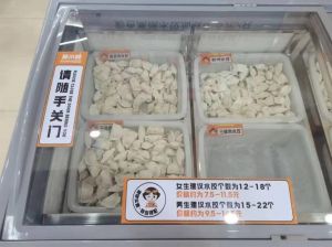 《上瘾禁忌——肉馅小水饺的制作与食用禁忌解析》