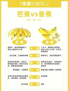 香蕉精产品二产区的特点解析：美食文化与生产工艺的结合