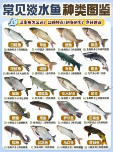 淡水鱼属于发物类吗_鲤鱼是发物，食用需注意