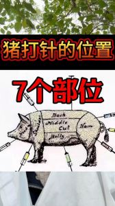 猪梅花肉是打针的部位吗_梅花肉肥瘦相间，炖煮炒菜皆宜，红肉要适量