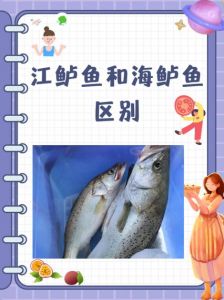 鲈鱼是不是深海鱼_鲈鱼不是深海鱼，近海家常美味