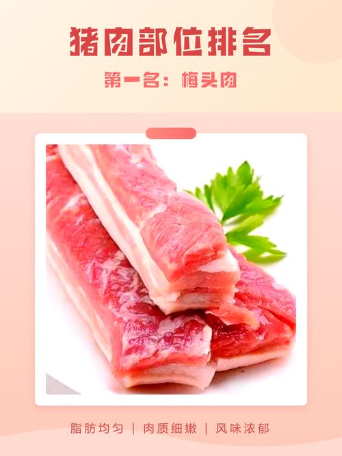梅头肉部位大全图解_嫩滑肉烂选对味！