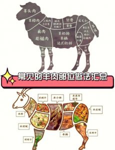羊外腰是哪个部位_清洗去腥烤制香，补肾佳品