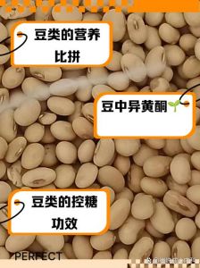 精产麻花豆与三产麻花豆的区别解析：生产工艺与特色对比