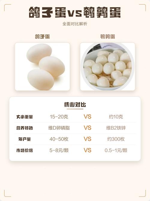 鸽子蛋鹌鹑蛋大小对比_大小营养怎么选？