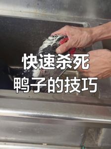 杀鸭子杀哪个部位死得快_割喉放血快死鸭，绒子制羽绒服