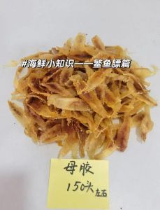 鱼鳔是不是就是鱼肚_功能口感大不同